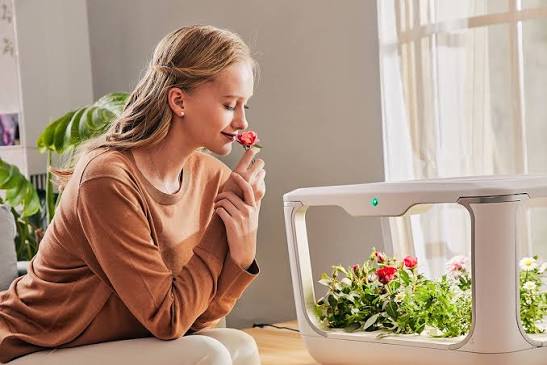 Mapping the Trouble Spots: A Practical Guide to Scaling Smart Farms without Losing Sleep